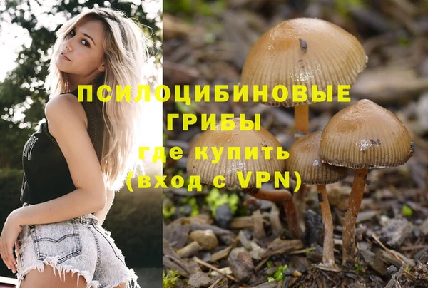прущие крисы Алексеевка