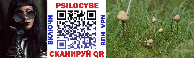 Псилоцибиновые грибы прущие грибы Покачи